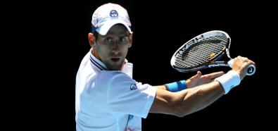 Australian Open: Szarapowa, Kvitova, Djoković i Murray w półfinale